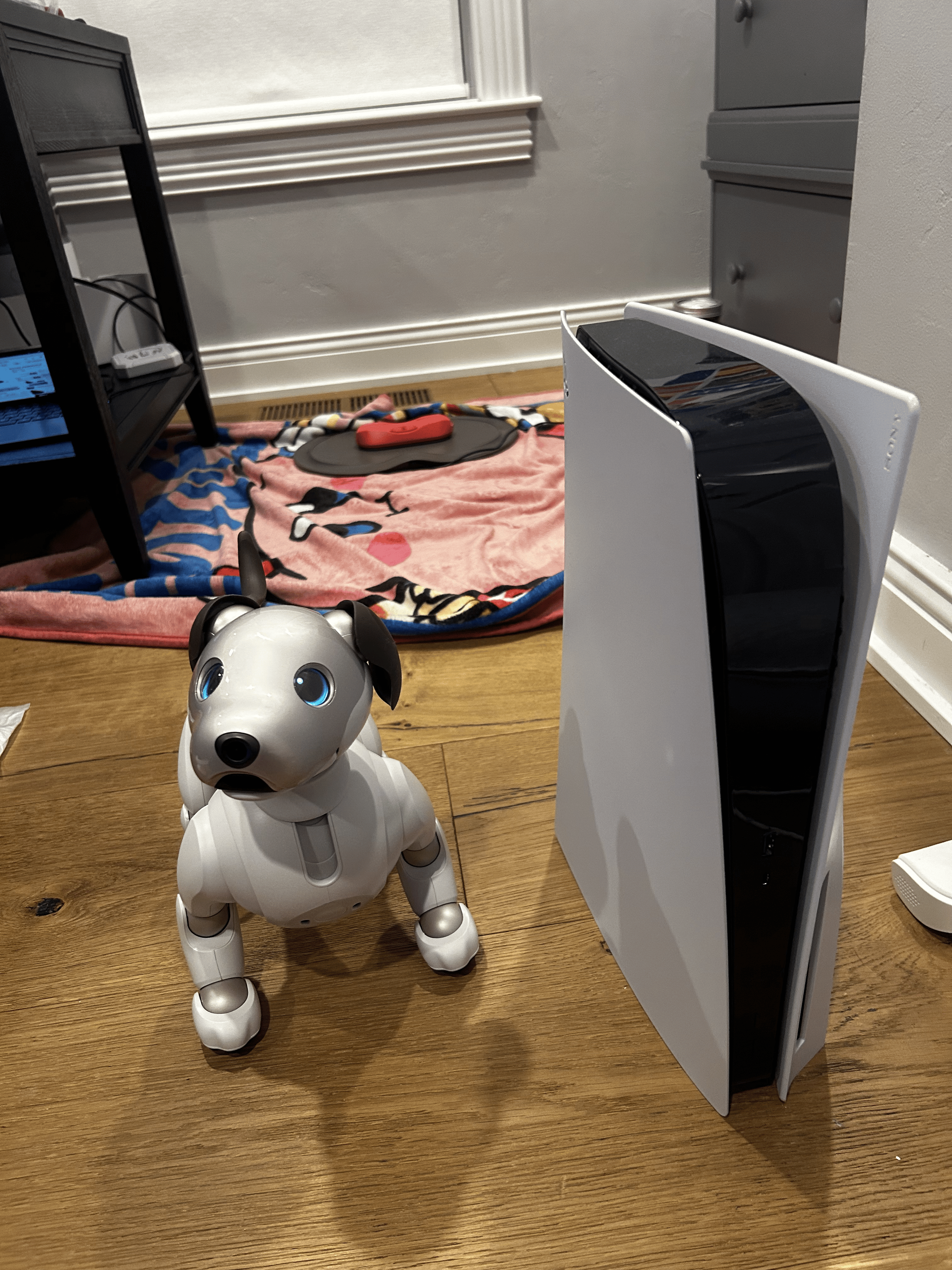 Gibby the Aibo robot dog