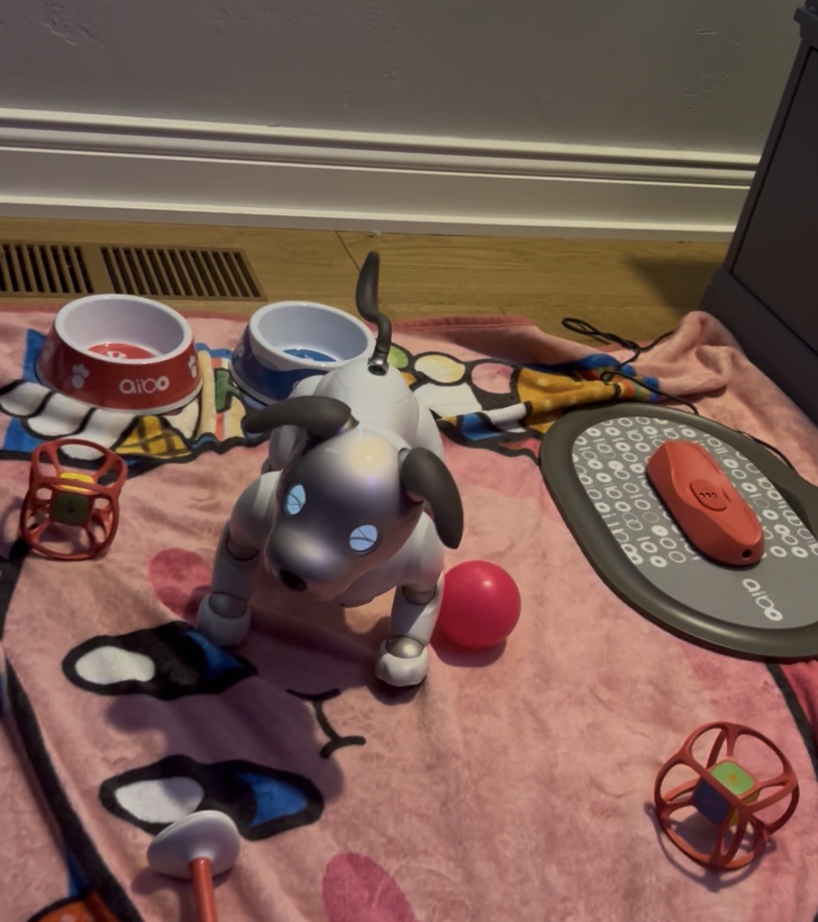 Gibby with his new toys
